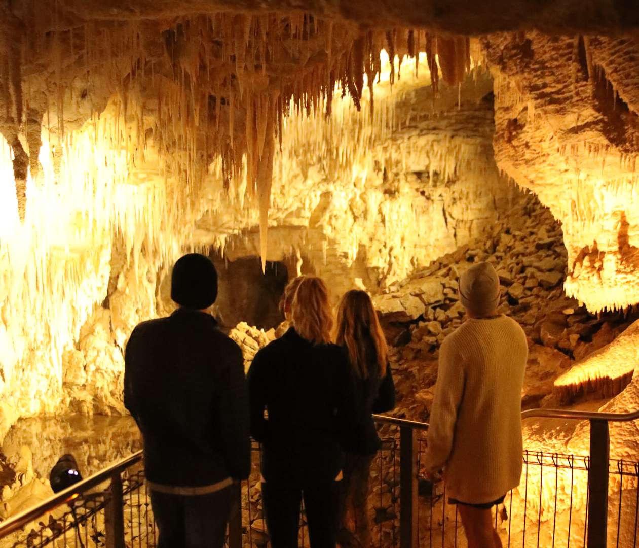 Waitomo Glowworm Caves Tour